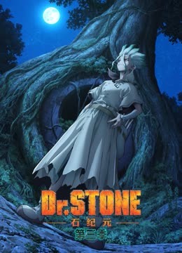 Ｄｒ．ＳＴＯＮＥ石纪元第三季