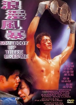 浪漫风暴（1996）